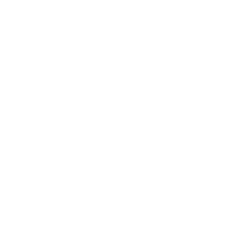 Pro Site Audit & SEO